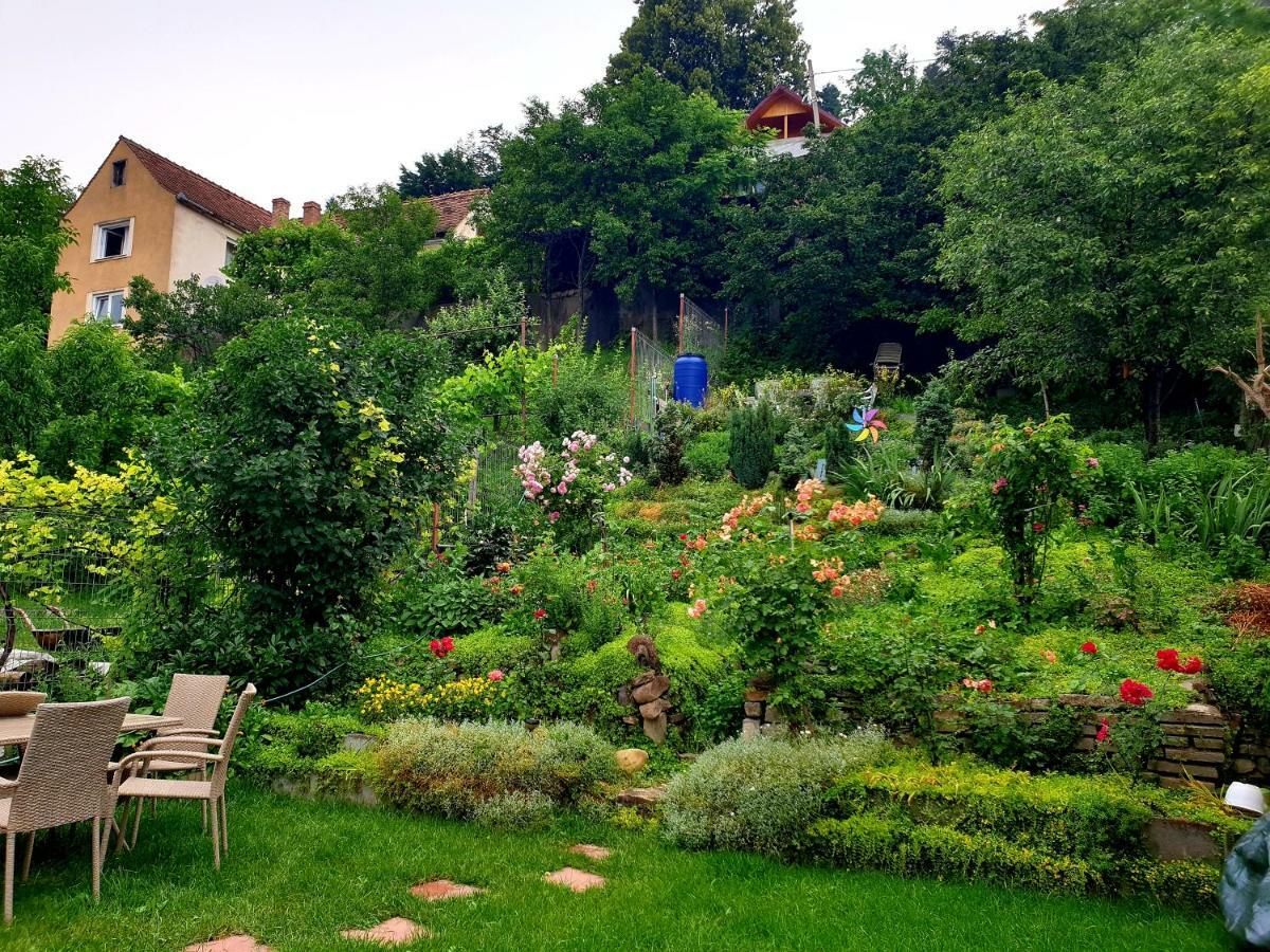 Casa Sperantei Lägenhet Sighişoara Exteriör bild